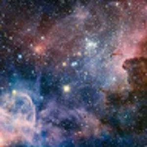 Meet your Posher, Ellery